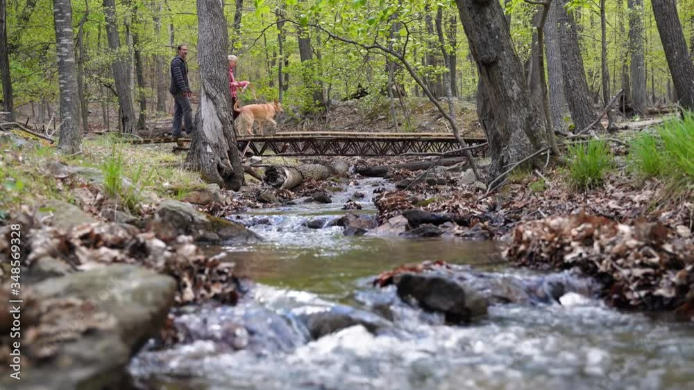 Mature couple hiking with their yellow lab dog crossing a bridge over a river in the forest. Mature couple hiking with their yellow lab dog crossing a bridge over a river in the forest.