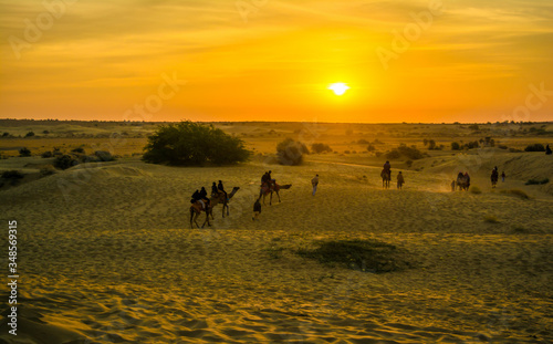 Sunset view with camel at Sam sand dunes of Jaisalmer the golden city, an ideal allure for travel enthusiasts  © H K Singh