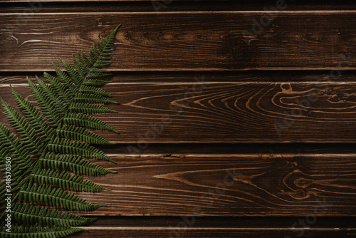 fern border on wooden background with copy space