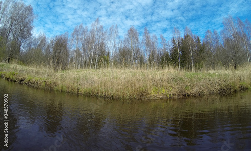 spring landscape on the river, old reeds along the shore and the first greenery