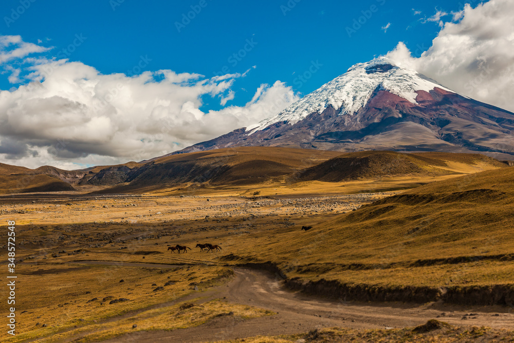 Cotopaxi National Park.