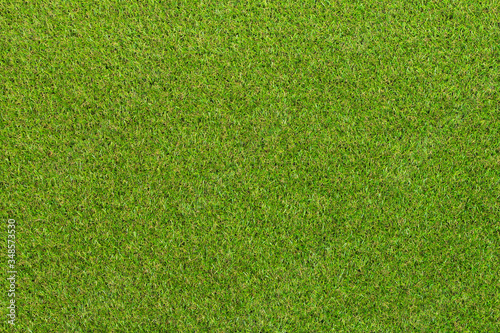 green grass background