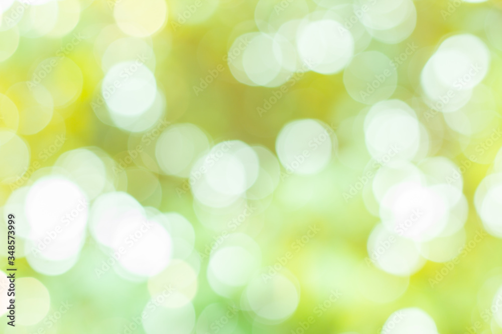 Fototapeta premium green bokeh background