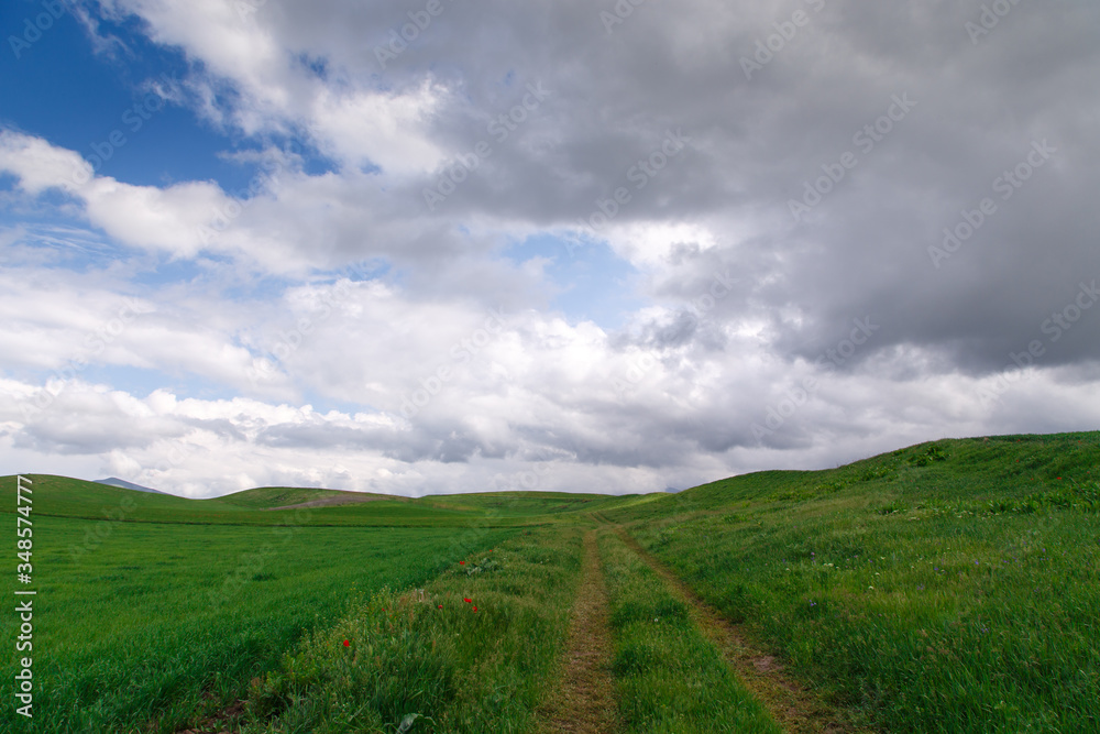 Beautiful spring and summer landscape. Mountain country road among green hills. Lush green hills, high mountains. Spring flowering grass.