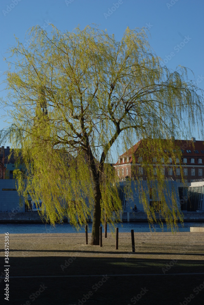 København