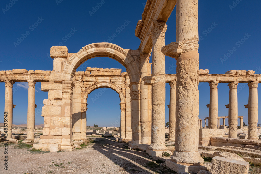 Roman Ruins in Palmyra, Syria