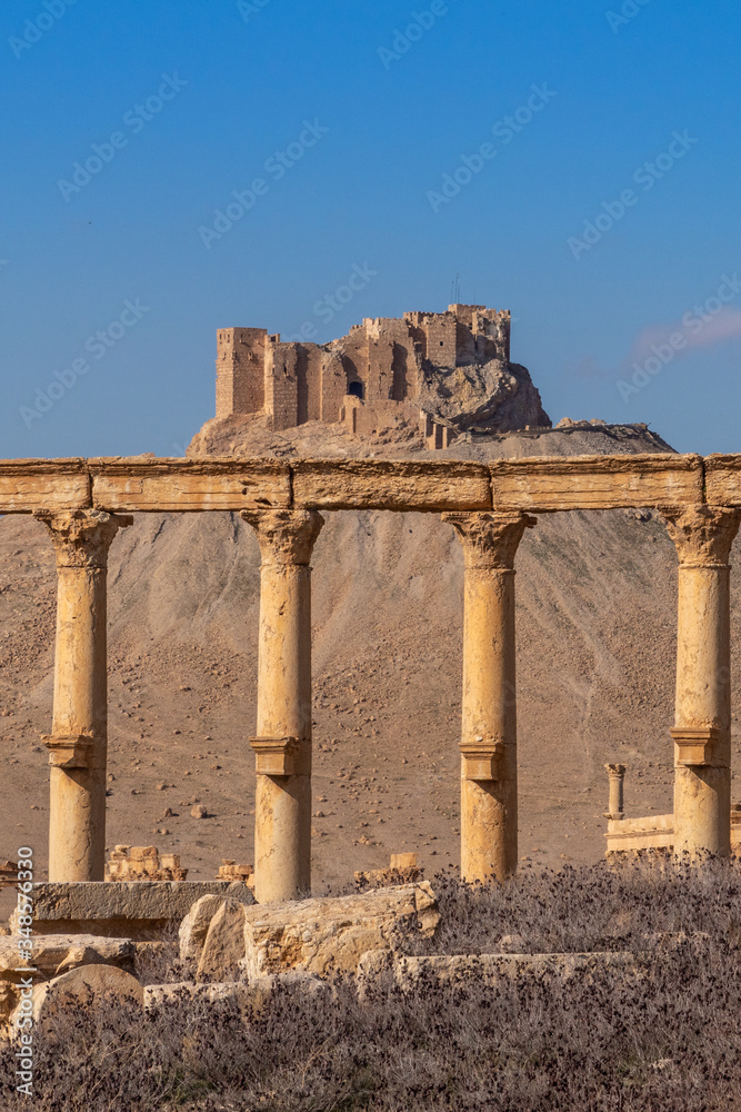 Fototapeta premium Roman Ruins in Palmyra, Syria