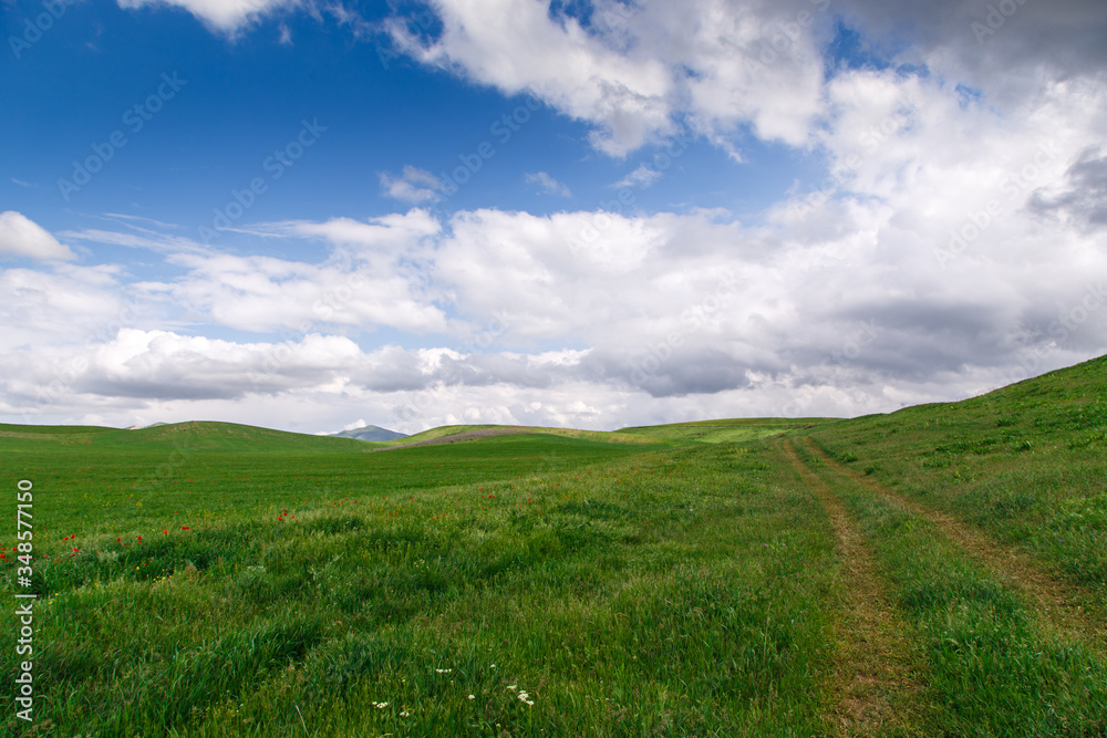 Beautiful spring and summer landscape. Mountain country road among green hills. Lush green hills, high mountains. Spring flowering grass.