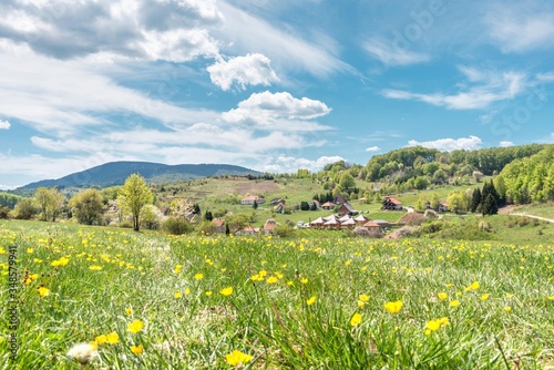 rural mountain landscape with green fields and blue sky. countryside landscapes.