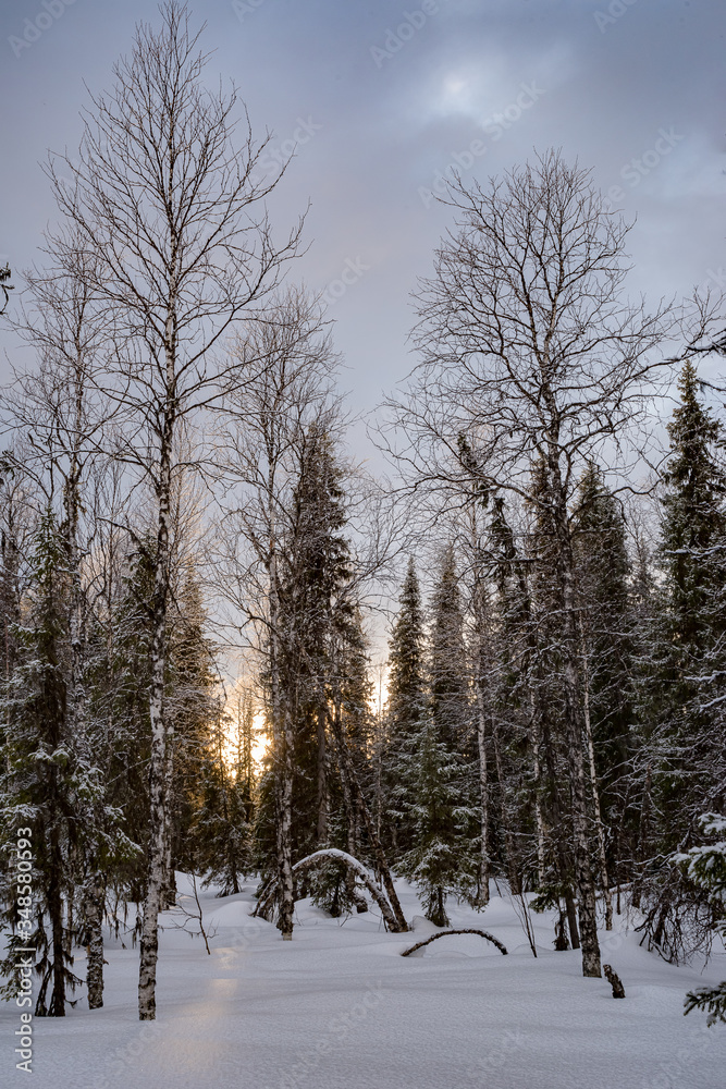 Winter ski trip in the mountains of the circumpolar Urals Winter ski trip in the mountains of the circumpolar Urals
