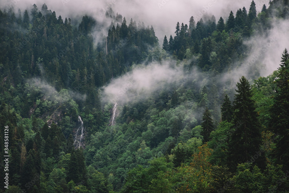 Waterfalls in the foggy mountain forest