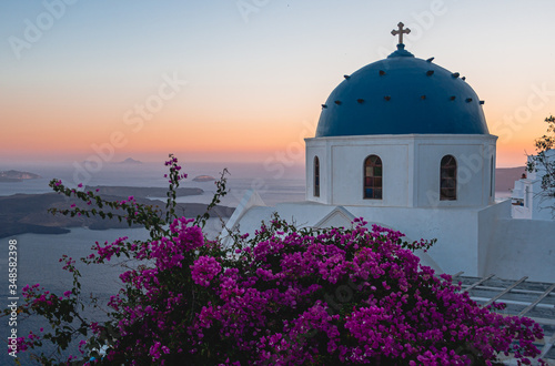 Sunset at Santorini in the summer with some flowers as foreground 