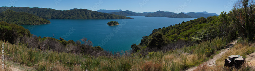 Landscape in Queen Charlotte Sound near Picton,Marlborough Region on South Island of New Zealand  
