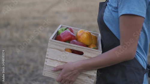 Farmer holding a box of freshly picked organic vegetables. Food delivery services during coronavirus pandemic for working from home and social distancing. Shopping online. photo