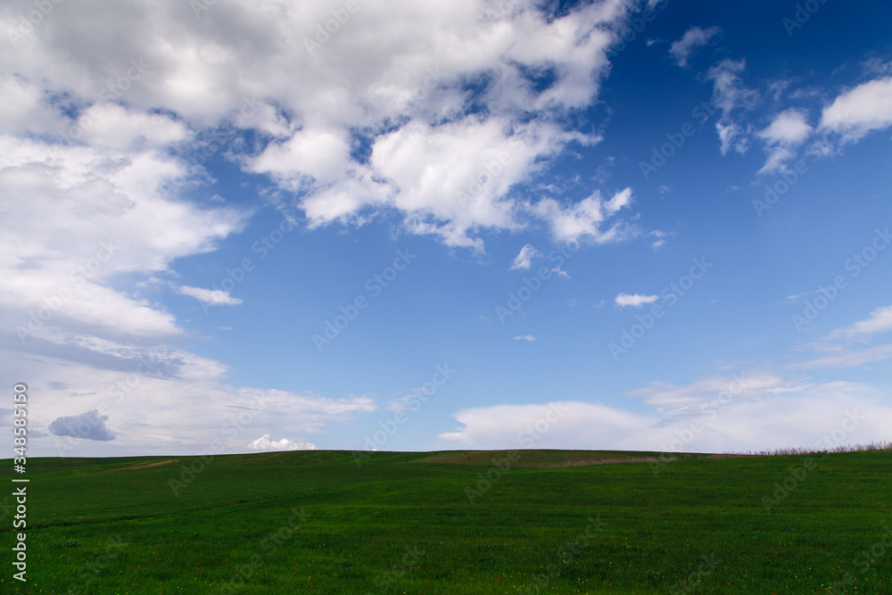 Cumulus clouds on a blue sky. Over the green field. Spring flowering grass. Summer natural background