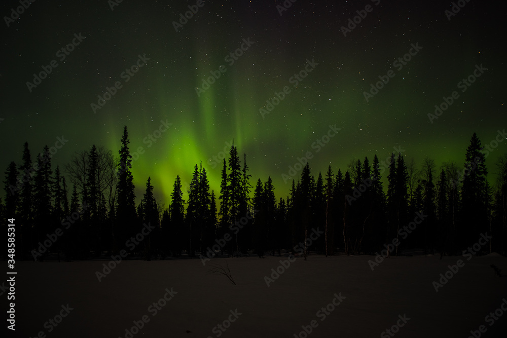 Northern lights in winter in the Ural mountains