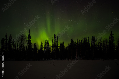 Northern lights in winter in the Ural mountains