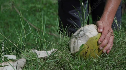  young man cutting with knife ripe fresh coconut 