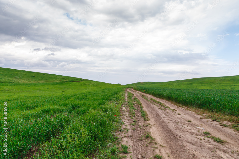 Beautiful spring and summer landscape. Mountain country road among green hills. Lush green hills, high mountains. Spring flowering grass. Beautiful spring and summer landscape. Mountain country road among green hills. Lush green hills, high mountains. Spring flowering grass.