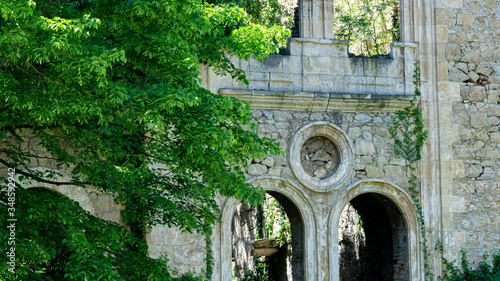 Photos The remains of old building, overgrown with ivy, shrubs and trees