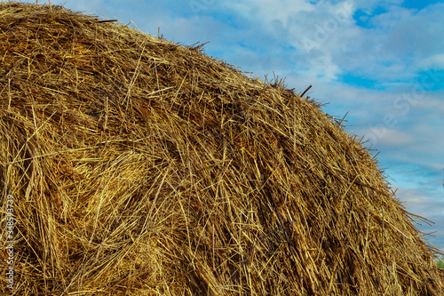 haystick