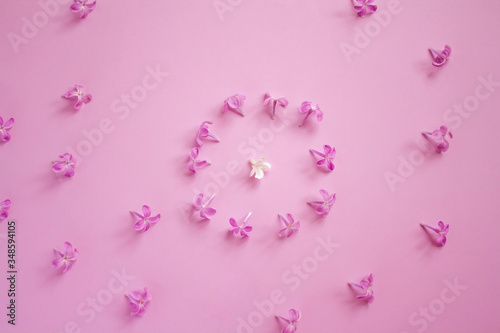 a circle of purple flowers, inside of which is a white flower, on a pink background, purple flowers are scattered around. spring arrangement of lilac flowers top view.