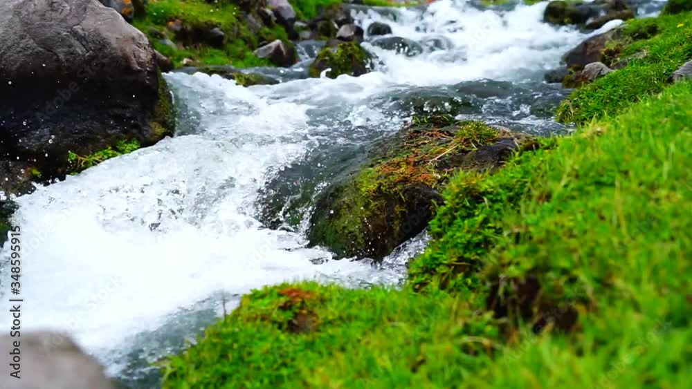 Small stream in a national park Small stream in a national park