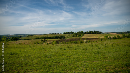 Green landscape of hills and fields in spring