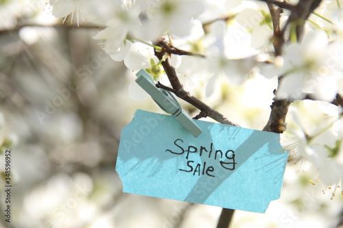Spring sale Tag and white flowers in a spring sunny day © Markgraf Ave