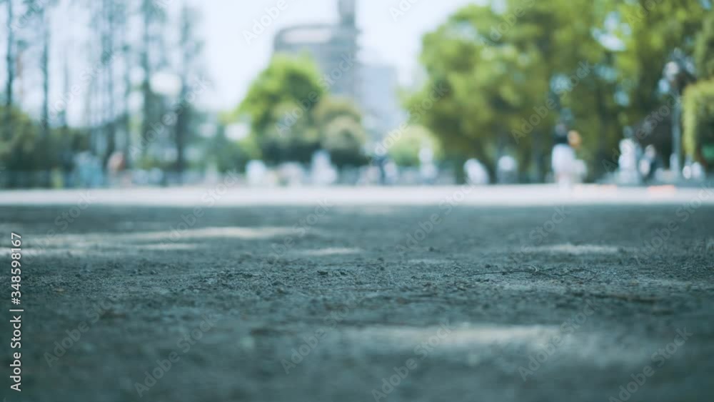 公園の地面