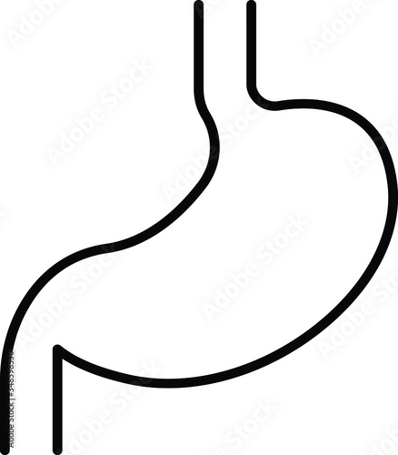 digestion 