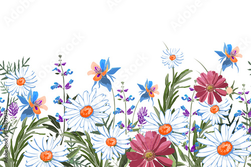 Vector floral seamless border. Summer flowers, green leaves. Chamomile, aquilegia, columbine, sage, rosemary, lavender, marigold, oxeye daisy. White, blue, pink, purple garden flowers on white.