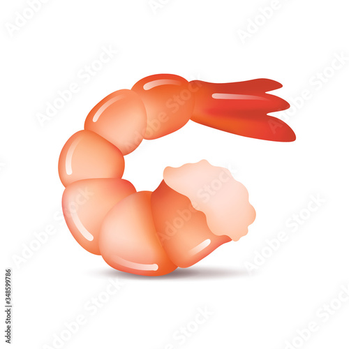 Realistic shrimp icon in flat style, fresh sea food.