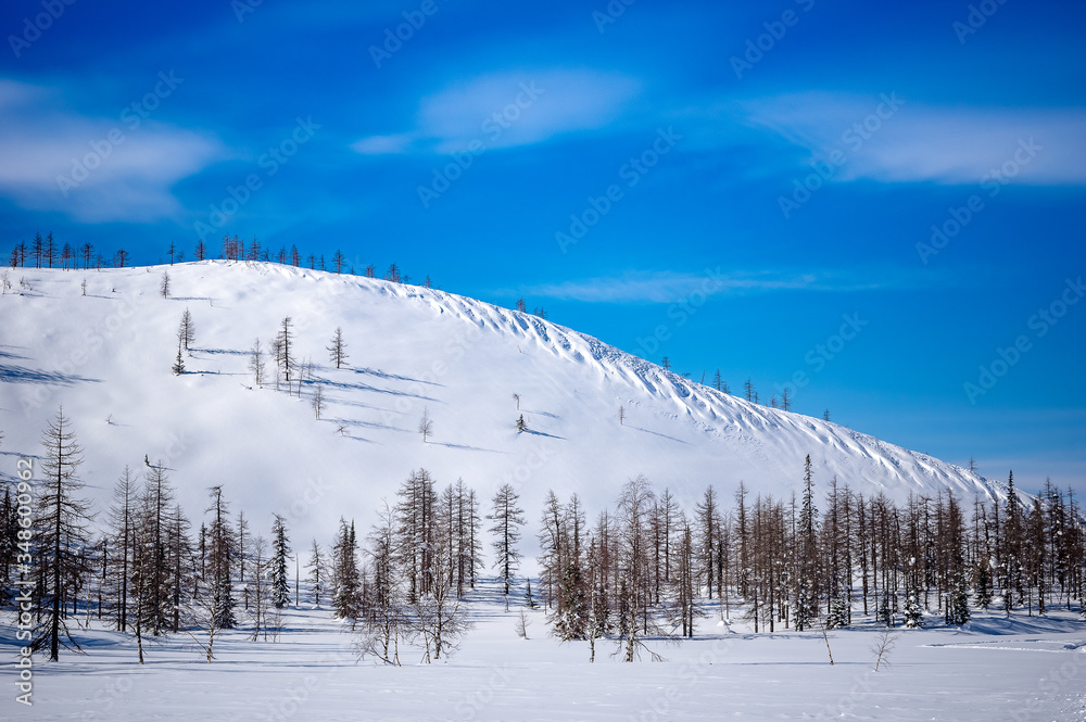 winter ski trip in the mountains of the circumpolar Urals. Ural winter mountains