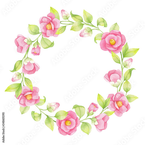 Watercolor wreath of pink flowers and green twigs, leaves isolated on white background.  Japanese camellia