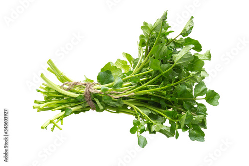 Fresh Watercress isolated on white background