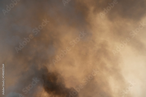 Red raging flame of fire burn in grass fields, forests and black and white smoke to sky. Big wildfire close-up. pollution in air concept. wildfire make to smoke bush pollution in world. © WP_7824