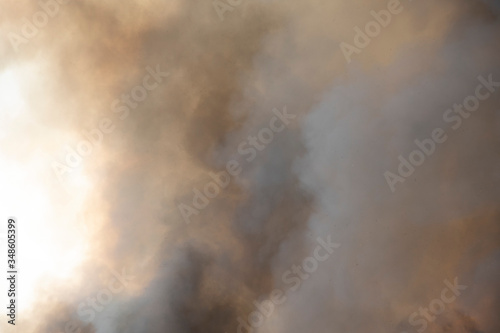 Fototapeta Naklejka Na Ścianę i Meble -  Red raging flame of fire burn in grass fields, forests and black and white smoke to sky. Big wildfire close-up. pollution in air concept. wildfire make to smoke bush pollution in world.