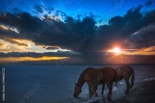 The two beautiful horse standing on the shore and drinking water from the lake on the colorful sunset. © Inga Av