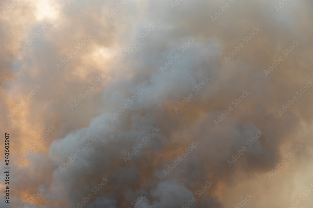 Obraz premium tło wzór dymu ognia spalić w polach traw