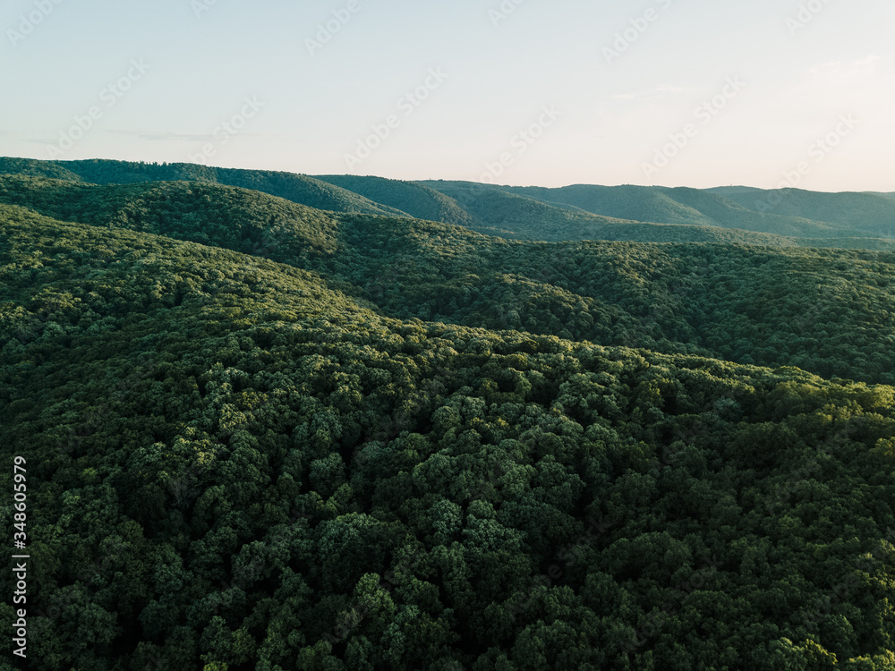 View of the beautiful forest in the mountains View of the beautiful forest in the mountains