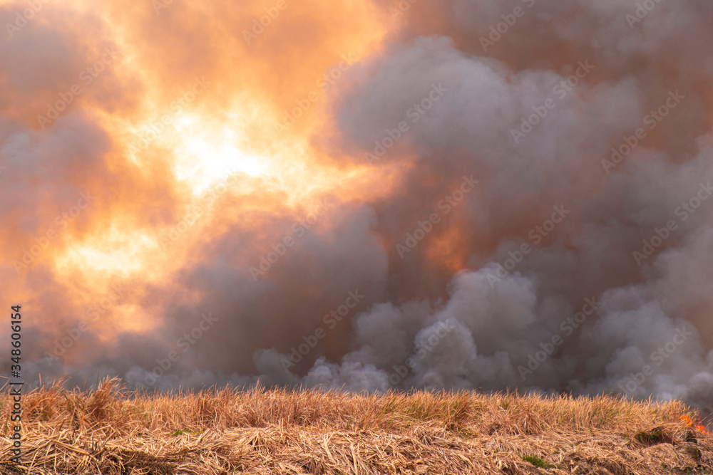 smoke pattern background of fire burn in grass fields smoke pattern background of fire burn in grass fields
