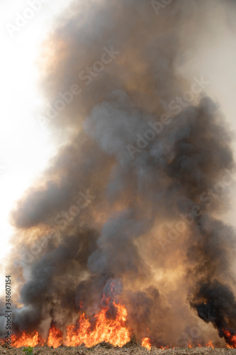 smoke pattern background of fire burn in grass fields