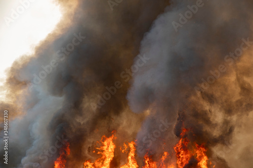 Red raging flame of fire burn in grass fields, forests and black and white smoke to sky. Big wildfire close-up. pollution in air concept. wildfire make to smoke bush pollution in world. © WP_7824