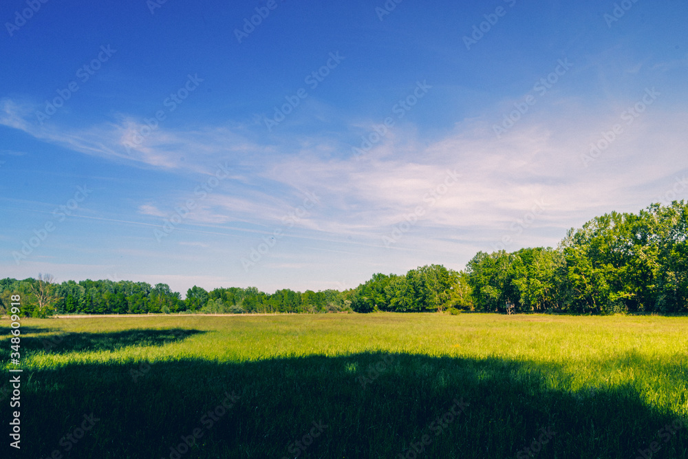 Obraz premium Spring walk in floodplain forests