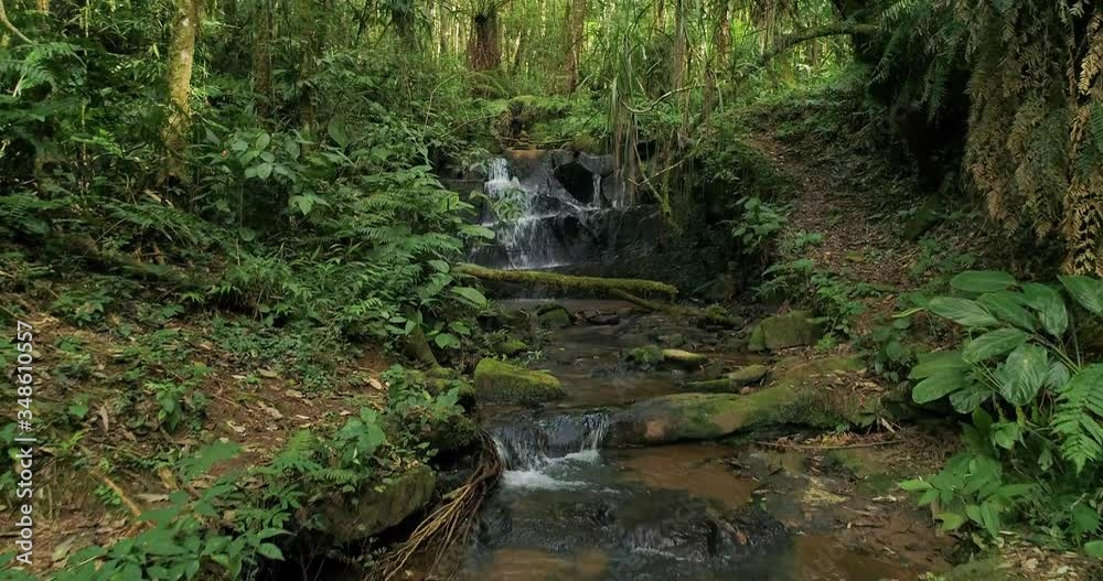 Queda d'água dentro de uma floresta