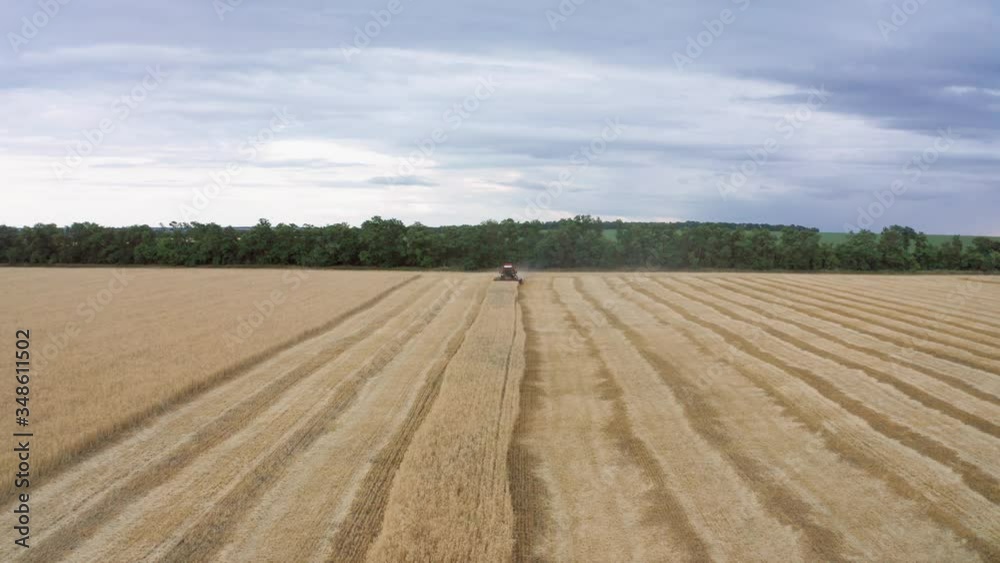 Combine harvester harvests wheat in the field at sunset in autumn in Russia. view from a height of equipment and field. Combine harvester harvests wheat in the field at sunset in autumn in Russia. view from a height of equipment and field.