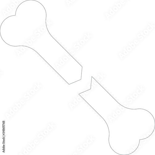 bone 