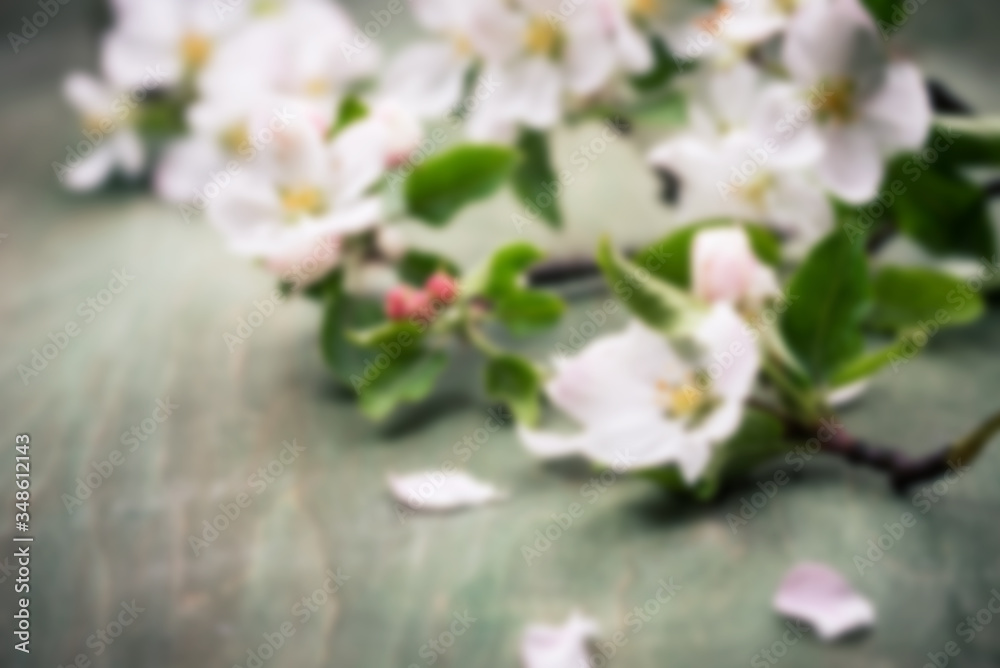 Obraz premium Blurred spring background with blooming tree