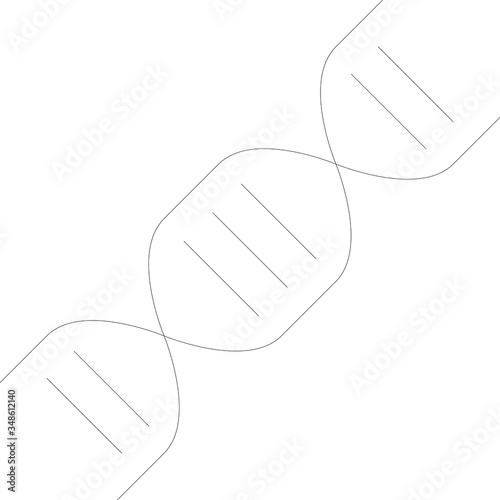 genetics 